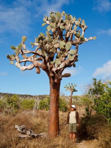 Cover for Galapagos J5: Santa Fe et South Plazas