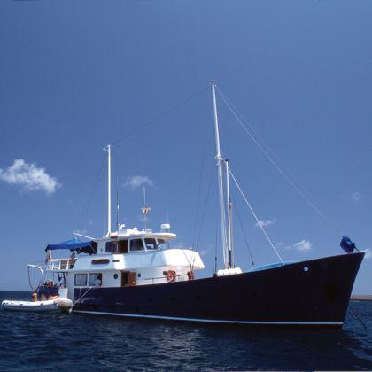 Cover for Only once in a lifetime...