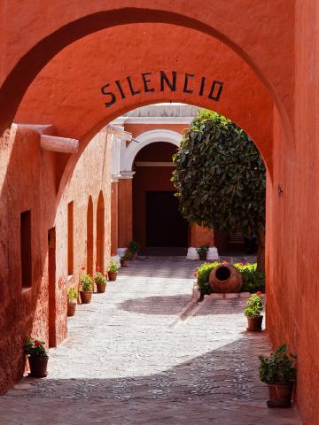 Cover for Arequipa, la "ville blanche"