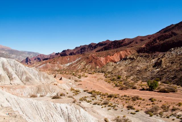 Cover for I'm a poor lonesome cowboy...