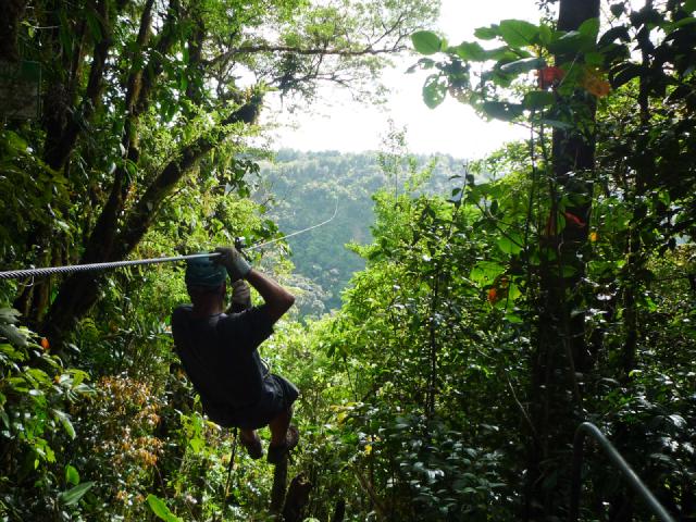 Cover for La forêt de nuages de Monteverde