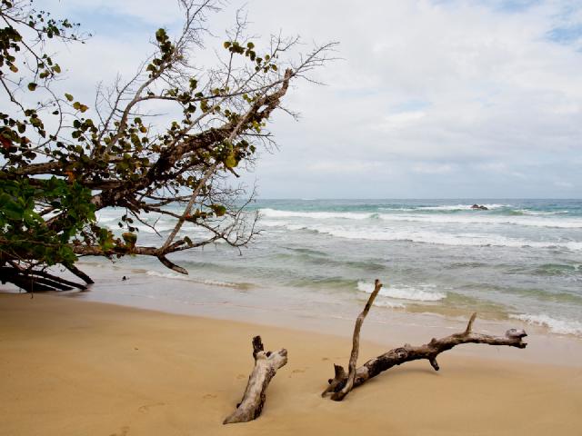 Cover for Bocas del Toro