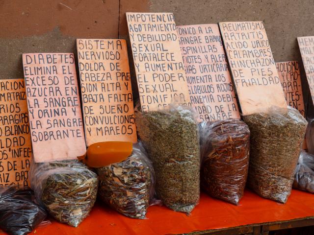 Cover for Oaxaca ou l'arrivée chez les Aztèques