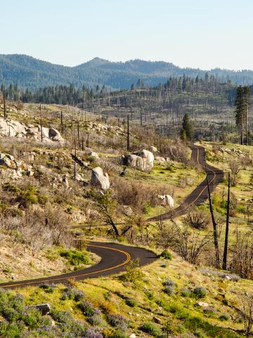Cover for Montagnes et déserts de Californie