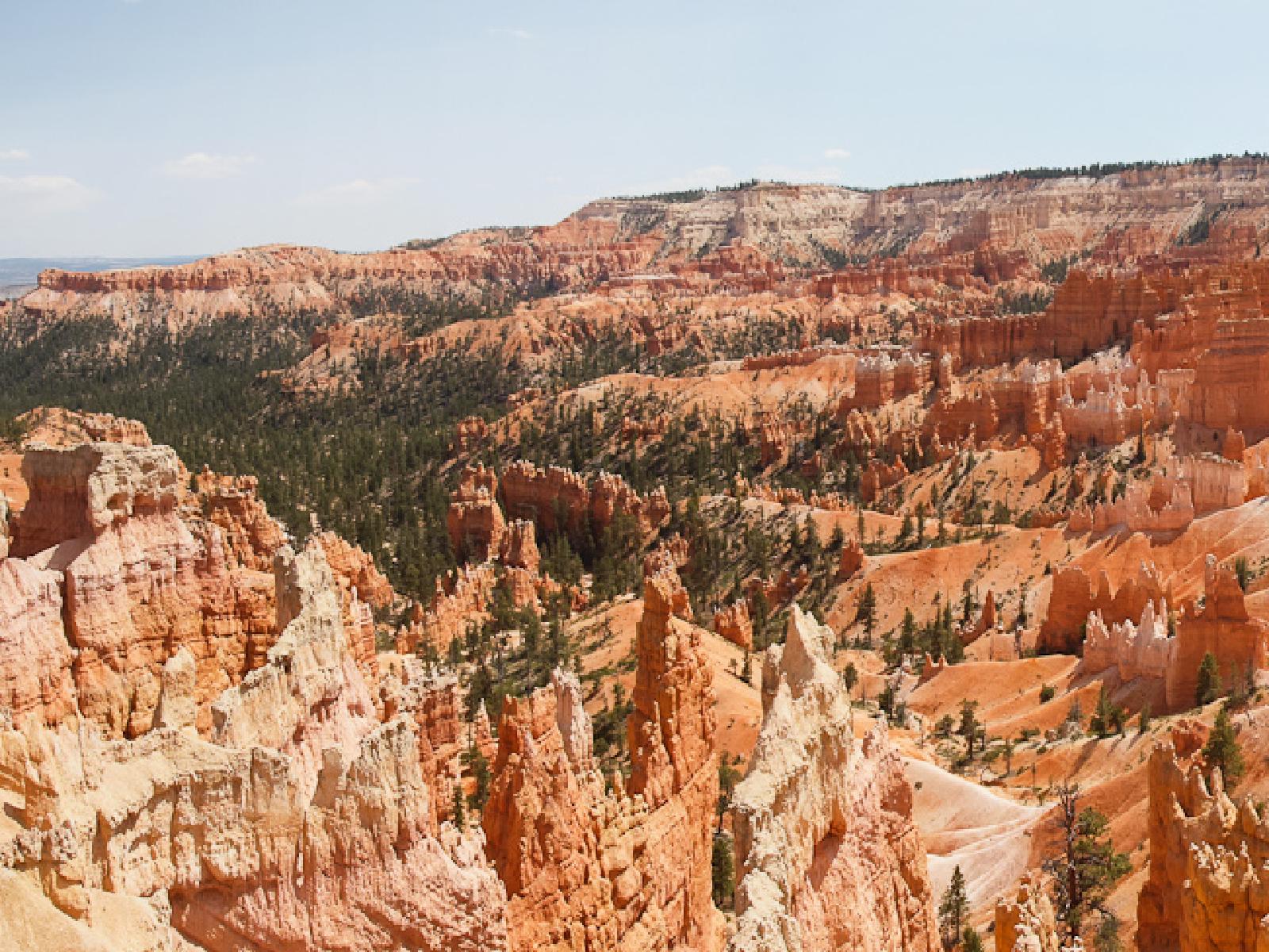 pano-bryce2.jpg