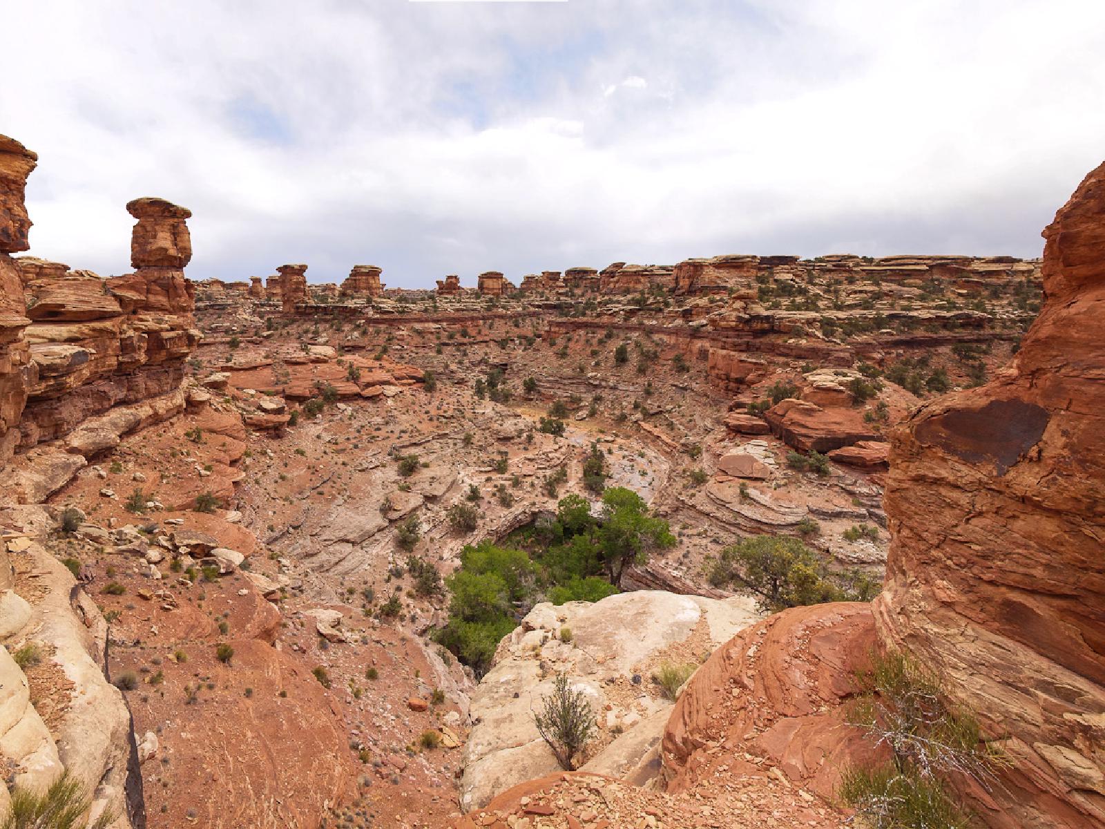 pano-canyonlands2.jpg