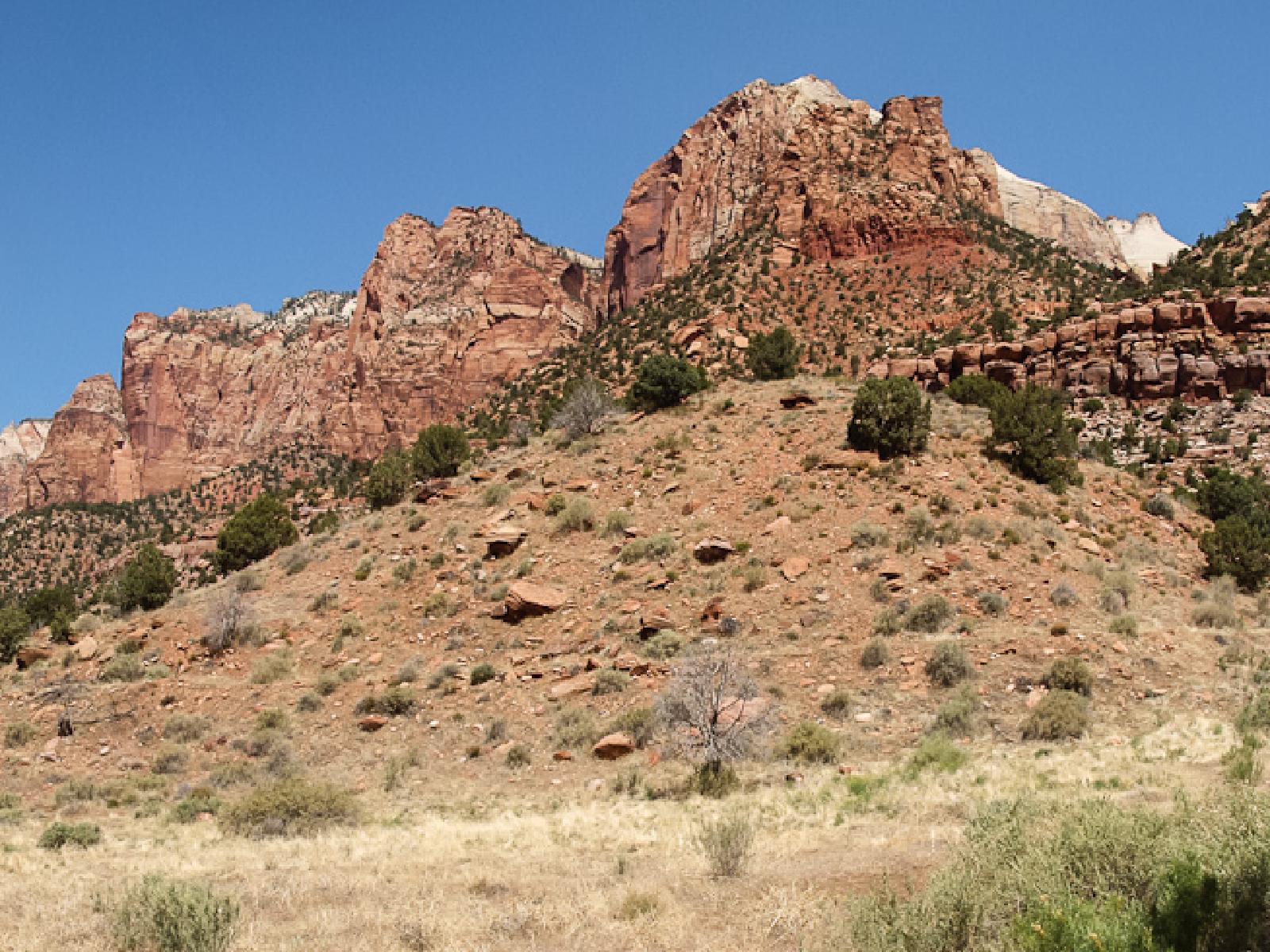 pano-zion.jpg